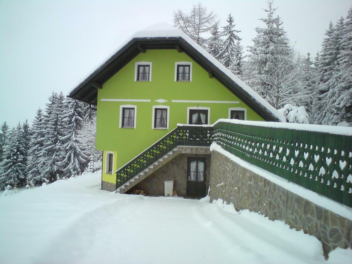 Apartment Sara Vitanje Exterior foto